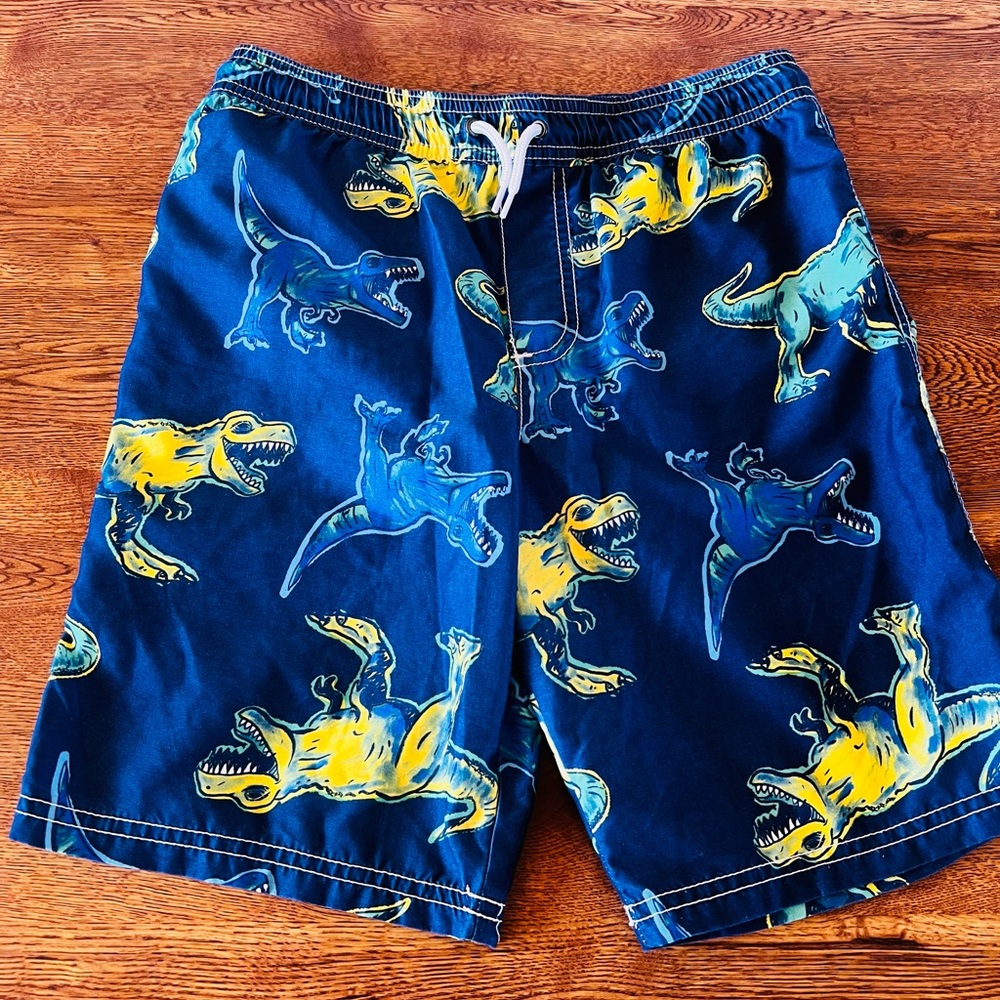 Carter's Kid Dinosaur Swim Trunks Size 10